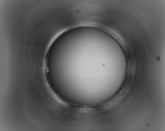 X0000101200804200807071313