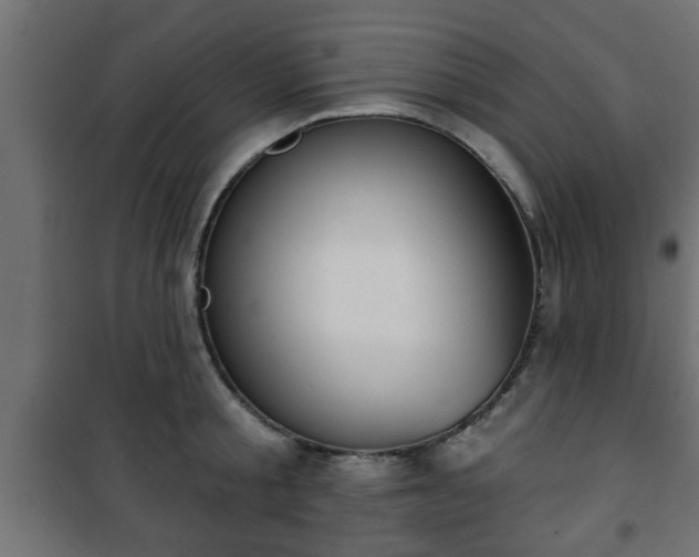 X0000101200805200807071313