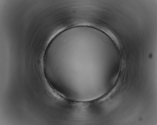 X0000101200806200807071313