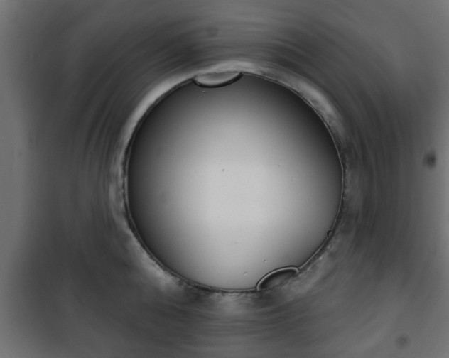 X0000101200808200807071313