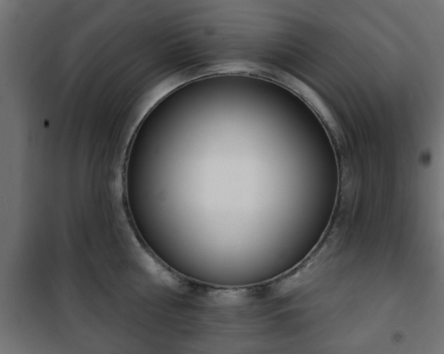 X0000101200810200807071313