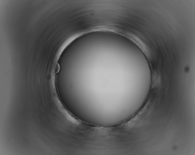 X0000101200812200807071313
