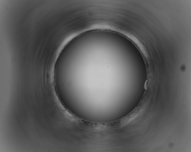 X0000101200815200807071313