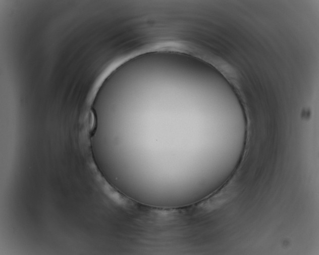 X0000101200816200807071313
