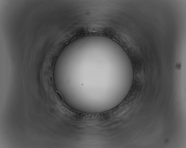 X0000101200817200807071312
