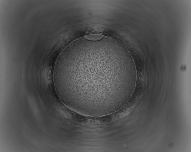 X0000101200818200807071312