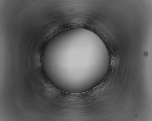 X0000101200819200807071312