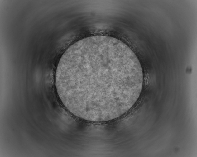 X0000101200820200807071312