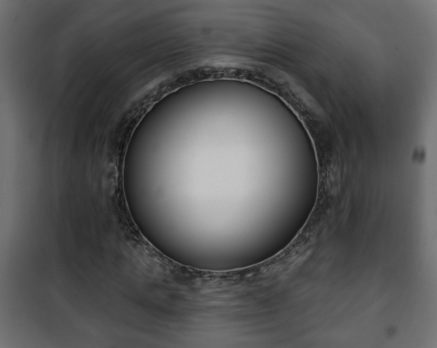 X0000101200821200807071312