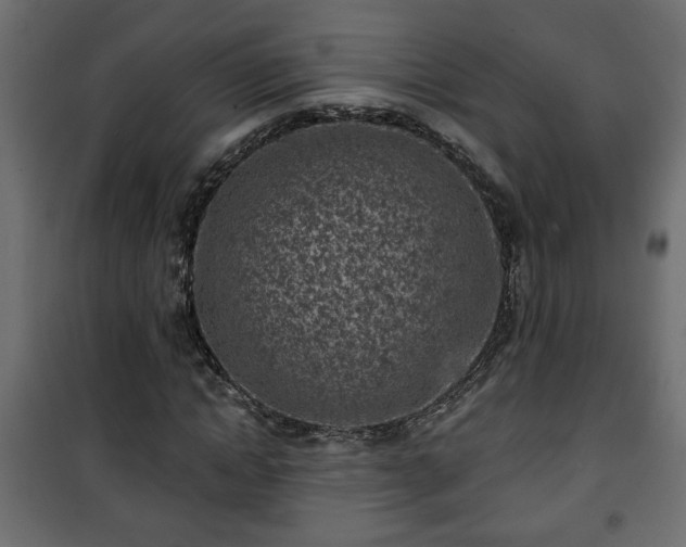 X0000101200822200807071312