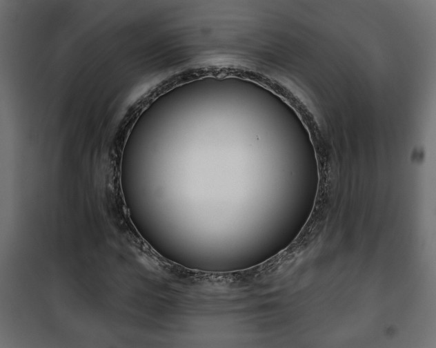X0000101200823200807071312