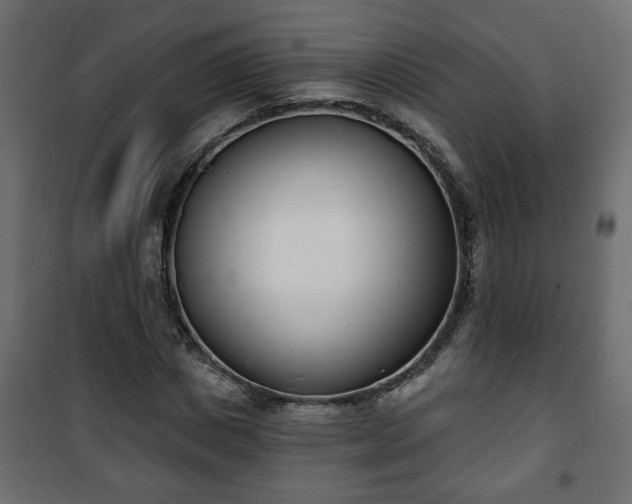 X0000101200825200807071312