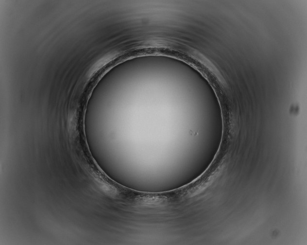 X0000101200826200807071312