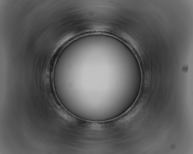 X0000101200827200807071312