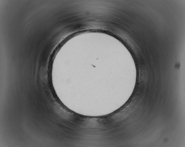 X0000101200828200807071312