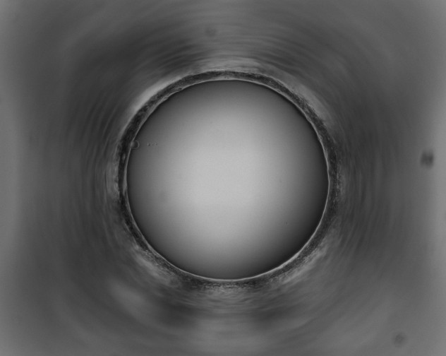 X0000101200830200807071312