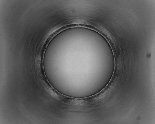 X0000101200831200807071312