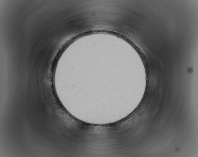 X0000101200832200807071312