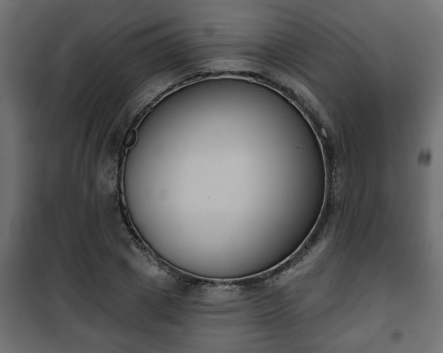 X0000101200833200807071312