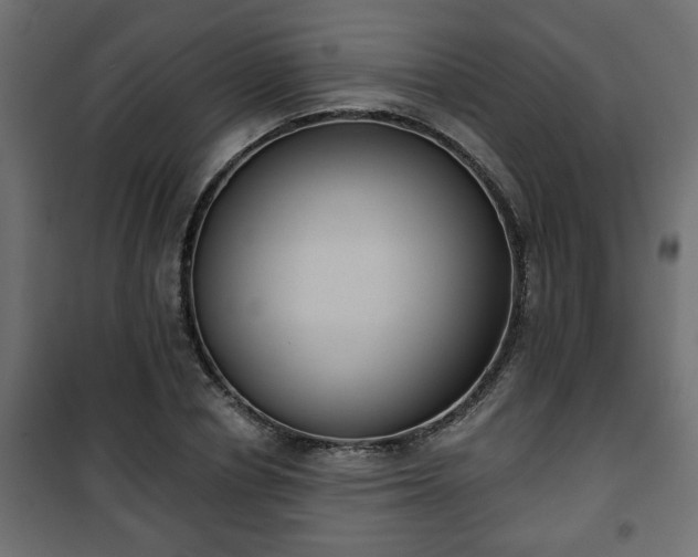 X0000101200834200807071312