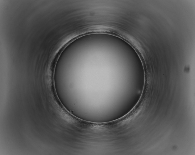 X0000101200835200807071312