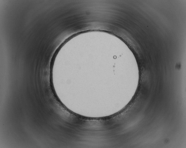 X0000101200836200807071312