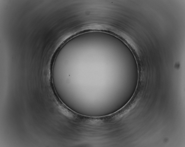 X0000101200837200807071312