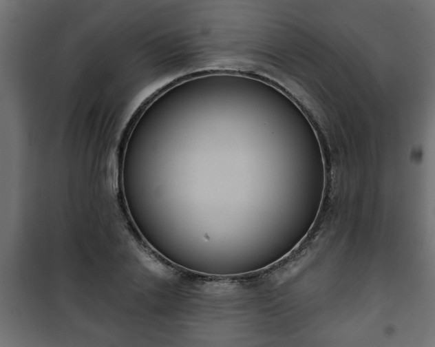 X0000101200838200807071312