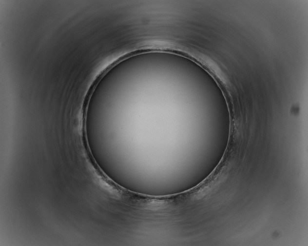 X0000101200839200807071312