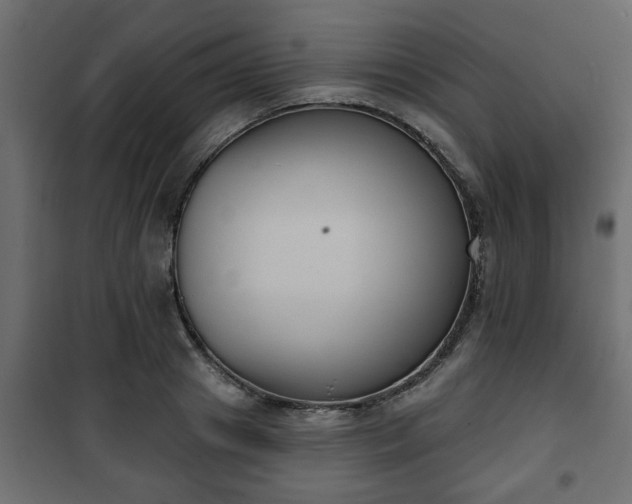 X0000101200841200807071312