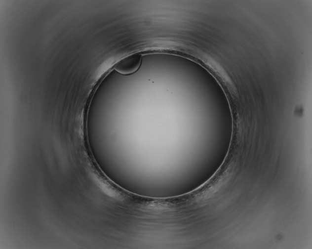 X0000101200842200807071312