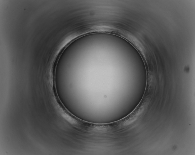 X0000101200843200807071312