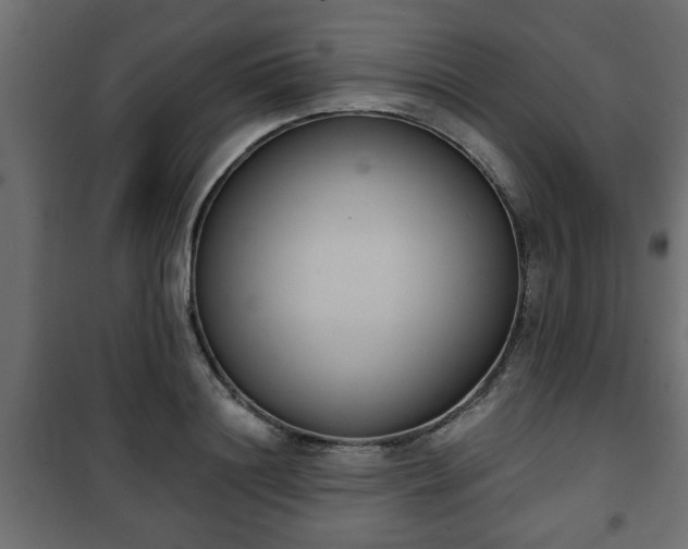 X0000101200844200807071312