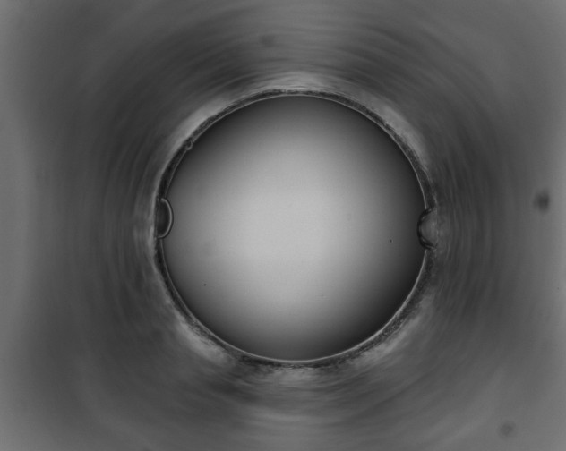 X0000101200845200807071312