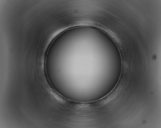 X0000101200846200807071312
