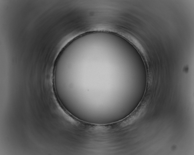 X0000101200847200807071312