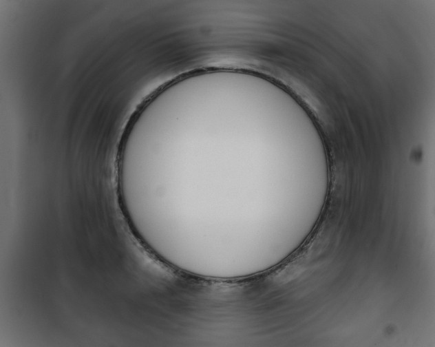 X0000101200848200807071312