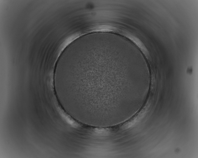 X0000101200850200807071312