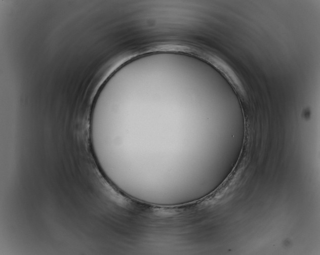 X0000101200852200807071312