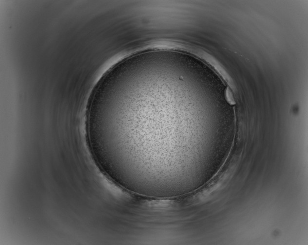 X0000101200853200807071312
