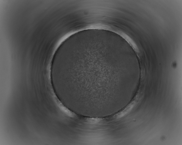 X0000101200854200807071312