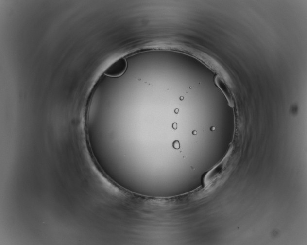 X0000101200855200807071312