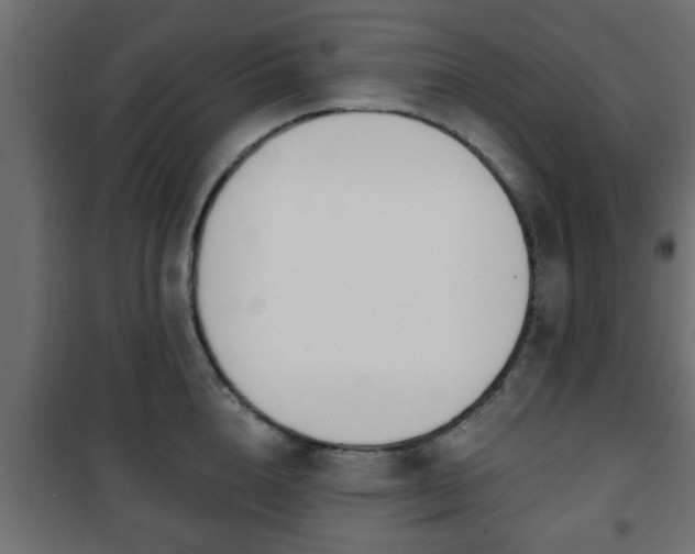 X0000101200856200807071312