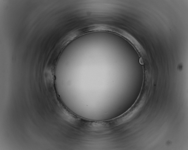 X0000101200857200807071312