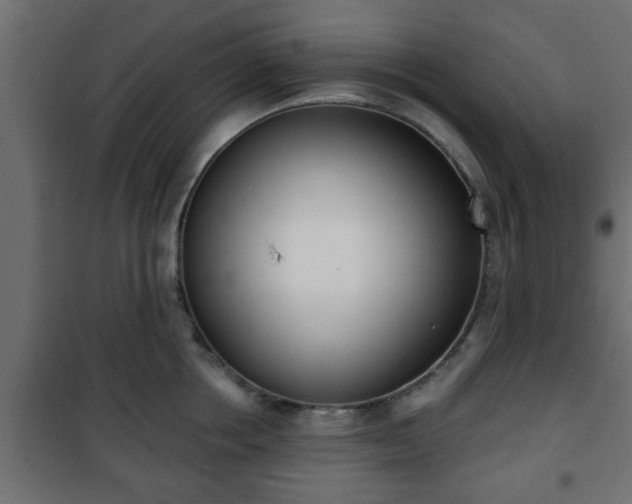 X0000101200858200807071313