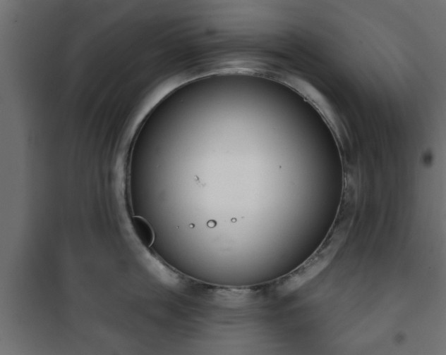 X0000101200859200807071313