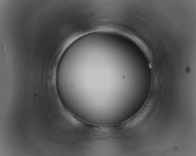 X0000101200862200807071313