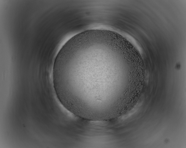 X0000101200863200807071313