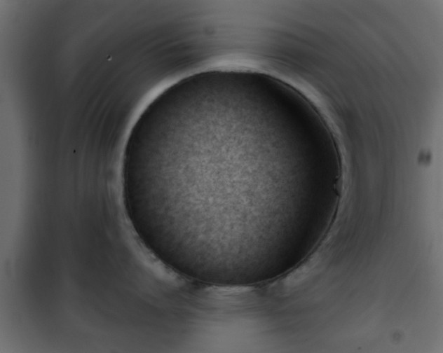 X0000101200864200807071313