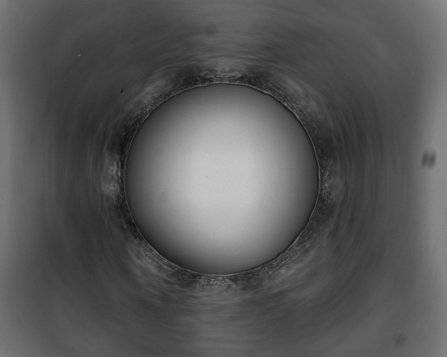 X0000101200866200807071312